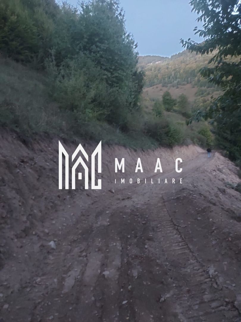 Super ofertă 35000 teren in Muntii Apuseni - Poză 15