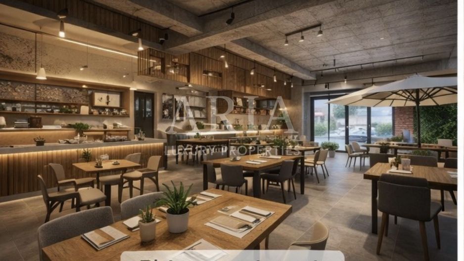 SPATIU COMERCIAL PIPERA EROU IANCU NICOLAE - Poză 3