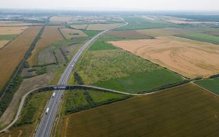 Teren 12 ha la Autostrada A1 cu PUZ aprobat - Poză 4