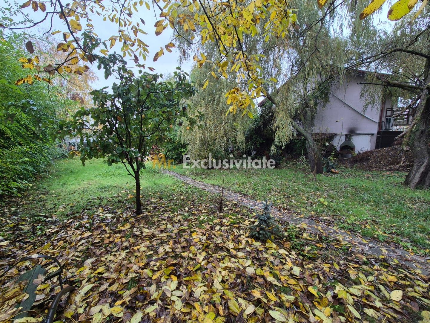 Un colț de verde, la doi pași de lac. - Poză 11