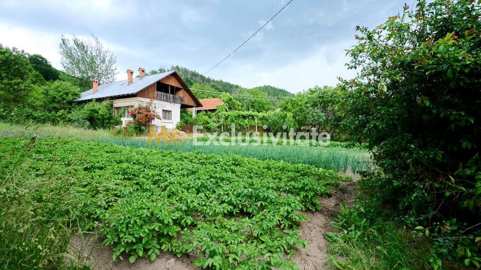 Casa cu teren generos - 4696 mp Apa Sarata - Campulung !! - Poză 5