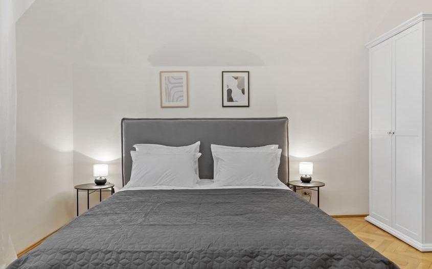 Inchiriere apartament 3 camere in vila | Domenii | Intrare si curte proprie - Poză 5