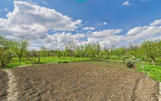 Casă individuală la Beregsău Mare, 2890 mp teren - Poză 31