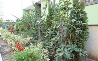 3 CAMERE LA PARTER CU CURTE PROPRIE DE 57MP,  2 BAI, POZITIE PE SUD, COMISION 0% - Poză 40