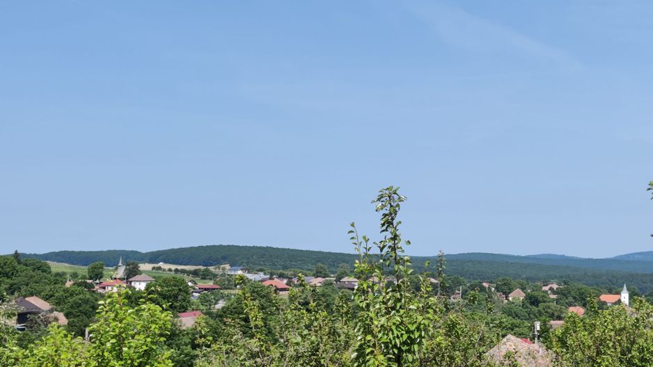 Casa individuala cu teren de 5000 mp, Deusu - Poză 1