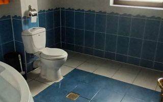 Vila de vanzare|7 camere| 774 mp teren| Snagov| Ocazie! - Poză 8