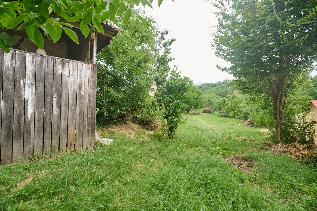 Teren 2240 mp intravilan + casa batraneasca Hintesti-Basangesti - Poză 3
