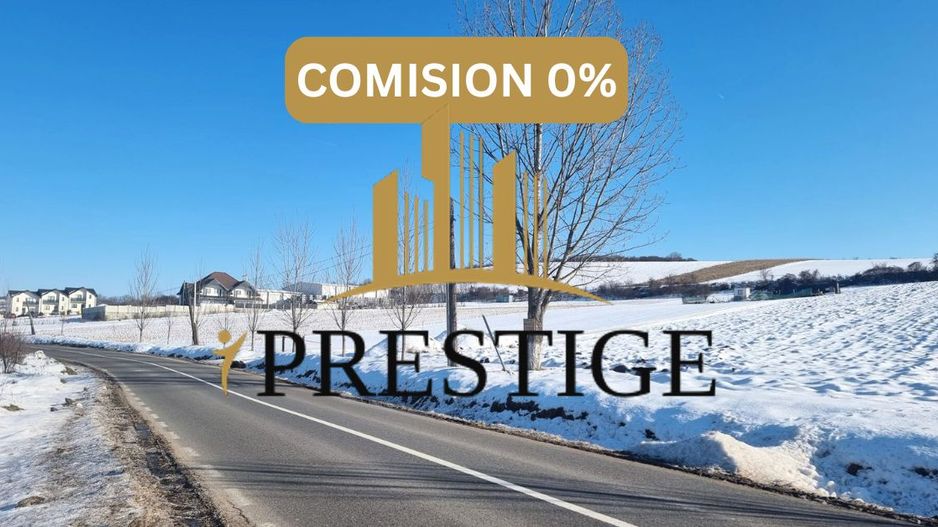 FĂRĂ COMISION | TEREN 6695 MP ÎN ȘURA MARE - Poză 1