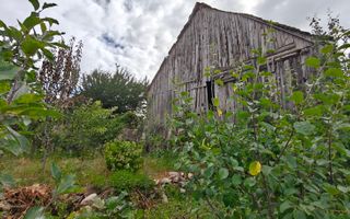 Casă 2 corpuri I 100 mpu  I Teren 970 mp I Front 25m I Săcel - Poză 20