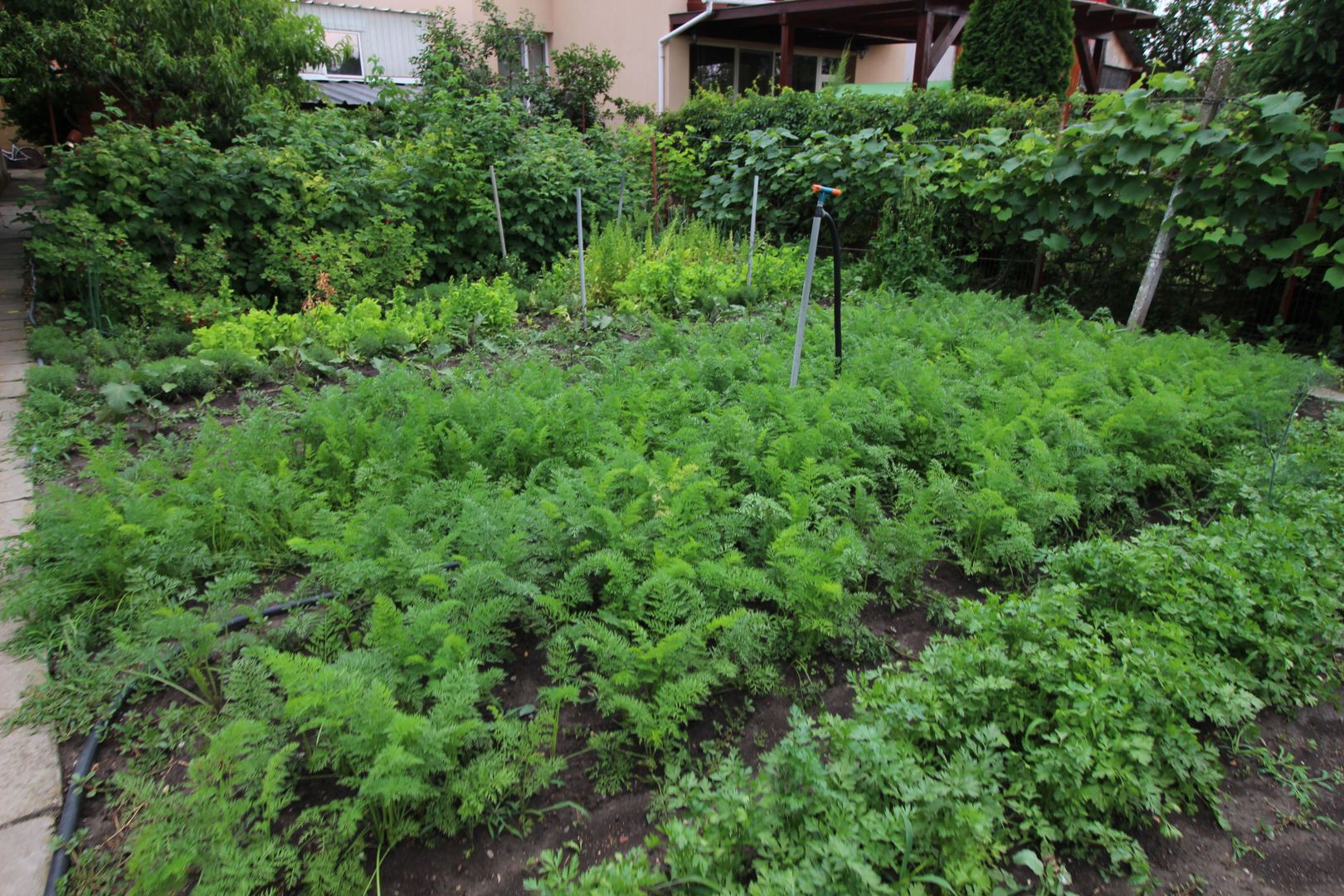 CASA CU TEREN MARE IN ZONA MEHALA - Poză 17