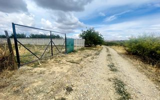 Teren intravilan de 2200 mp în Paleu – Front stradal 18 ml - Poză 2