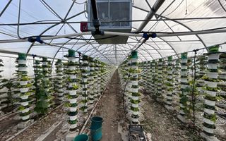 De vanzare-afacere la cheie - Poză 7