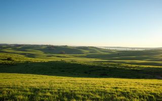 Vanzare Teren Extravilan Arabil, Pășune Chesint, Zabrani Arad, 48.86ha - Poză 4