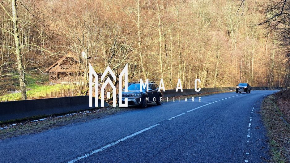 Paradis pe Transalpina in Sugag - Poză 21