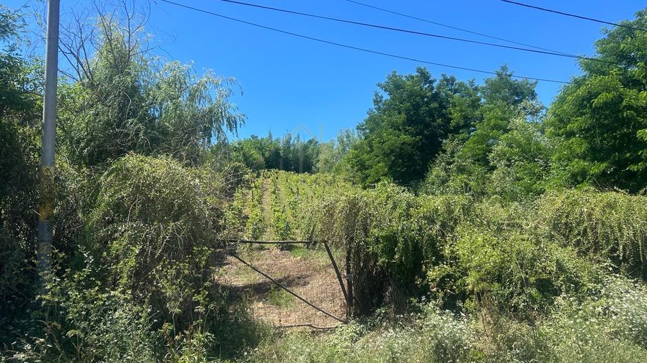 Teren intravilan de vânzare – Andrașești - Poză 1