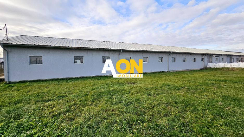 HALĂ Industrială/Producție 573mp, Teren 2793mp, DJ 107F, Comision 0 - Poză 2