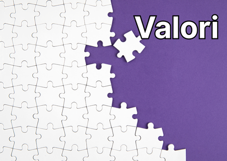     Valori care ne definesc