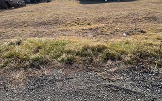 Teren INTRAVILAN CU PROIECT de vânzare | Sura Mare - Poză 2