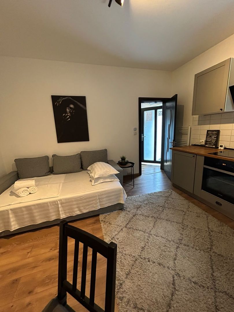 APARTAMENT 2 CAMERE OPENSPACE PARCUL CAROL - TINERETULUI - Poză 3