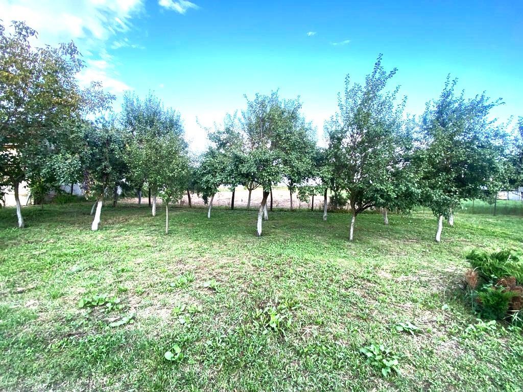 Terenuri de vânzare Boldur - Poză 1