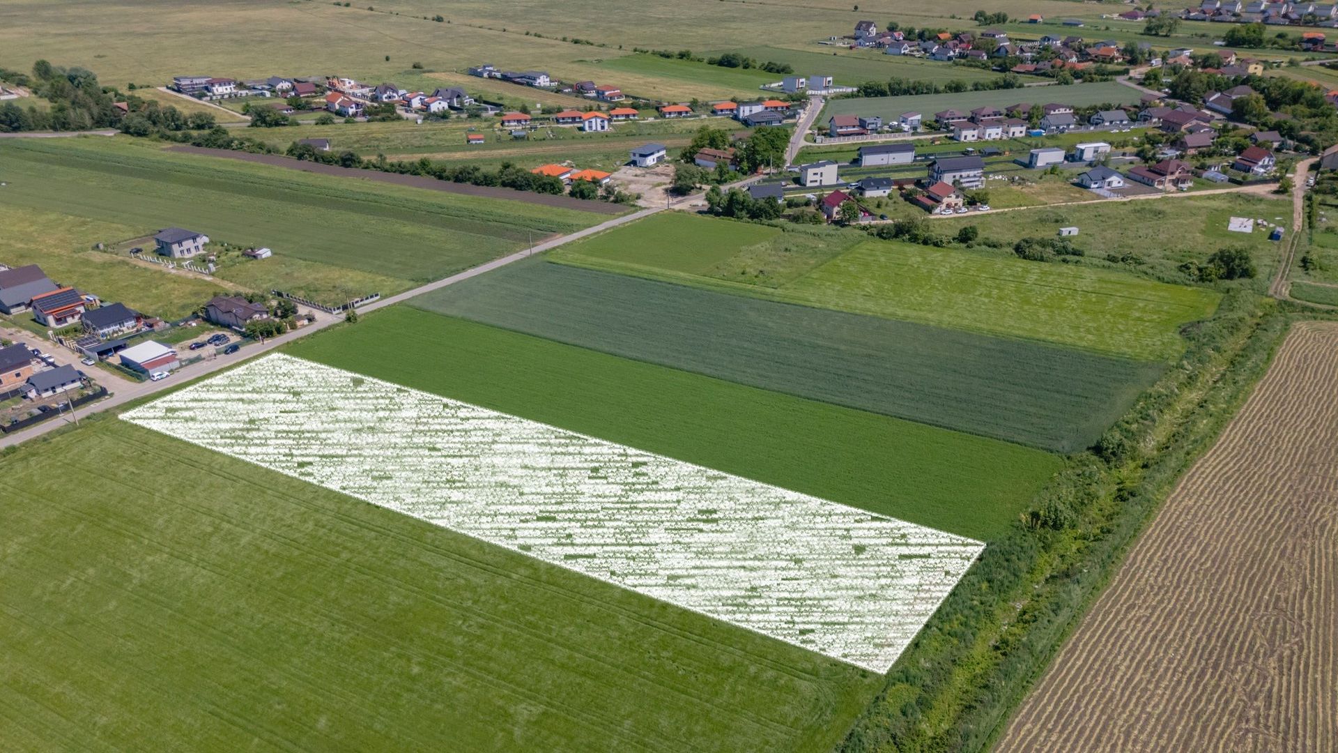 Teren 9.300 mp Stupini | Front 45.59 m la Asfalt | PUG Zonă L1c - Poză 4