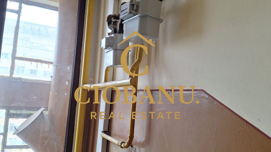 Apartament 3 camere de vanzare zona Gradina Botanica - Poză 7