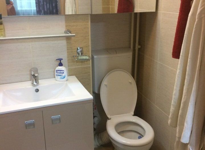 APARTAMENT IMPECABIL ZONA VICTORIEI - Poză 10