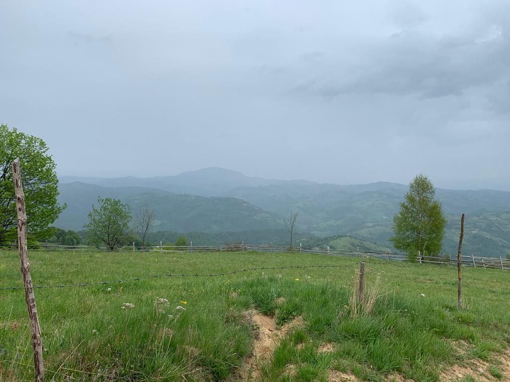 Teren extravilan 2ha, priveliste panoramica spre munti /Poiana Marului - Poză 9