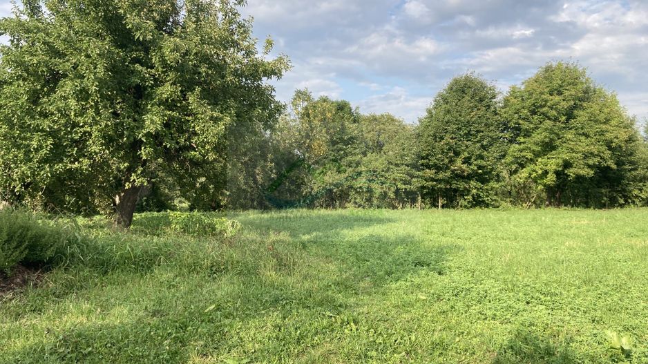 Teren Intravilan 3200 mp de vânzare - Poză 6