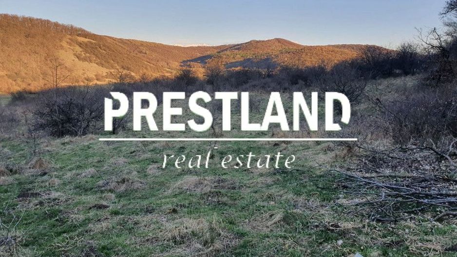 Teren 46.300 mp-zona Gușterița!! - Poză 4