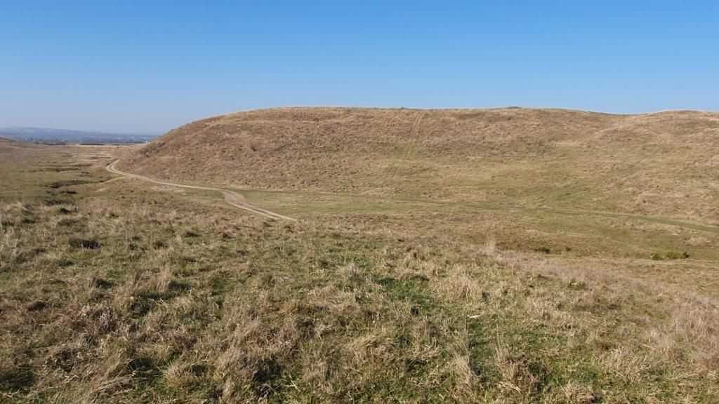 Padure stejar Prahova L328 - Poză 7