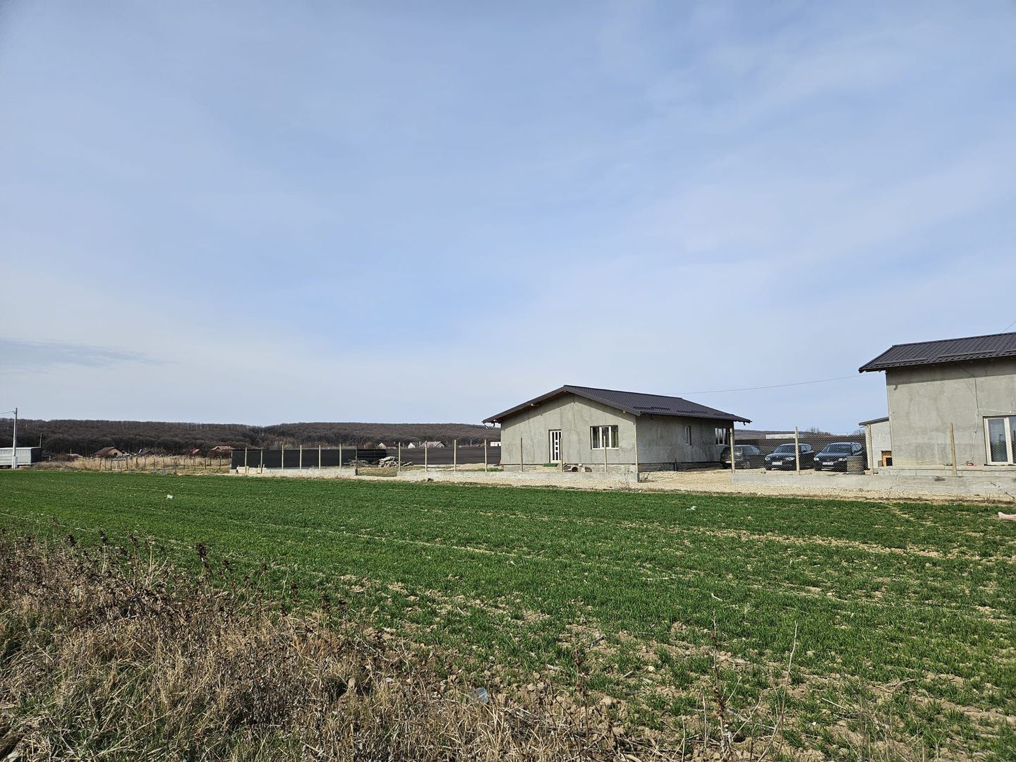 Teren intravilan 882 mp, Smeura - Hintesti - Poză 2