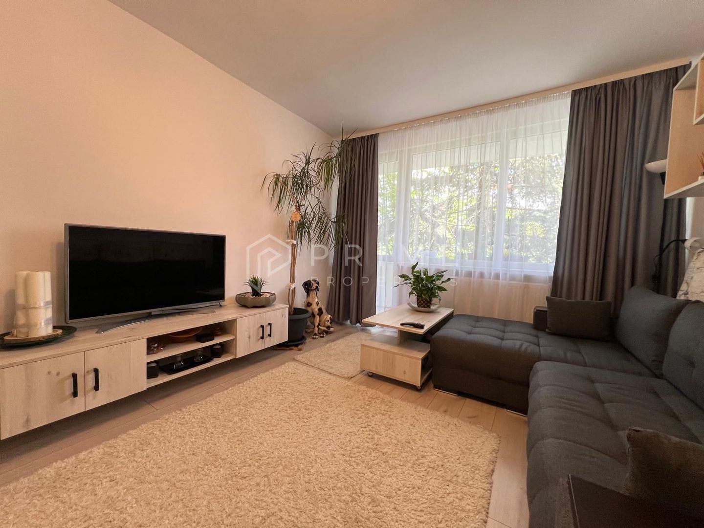 Apartament 2 camere | Aleea Carpați | Etaj 3/4 | Balcon 9 mp - Poză 8