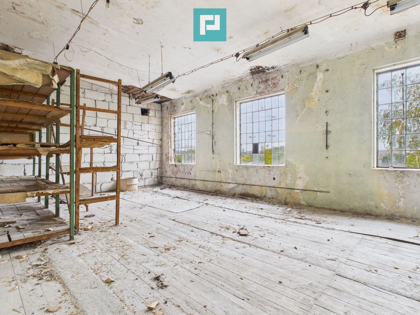 Spațiu versatil  250 mp de investiții în Periam - Poză 3