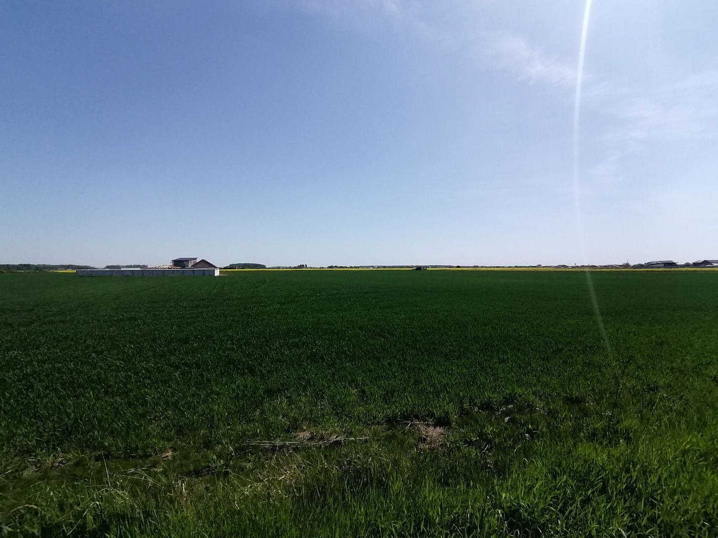 Teren intravilan 9313 mp in comuna 1 Decembrie - Ilfov - Poză 3