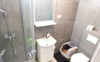 Oferim spre vânzare un apartament deosebit cu 3 camere, în zona Buziașului! - Poză 19