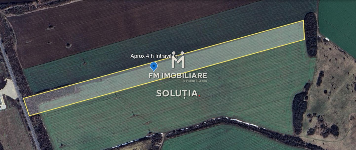 Teren intravilan – Crevedia – 62 de parcele – Acces din DN1A - Poză 5