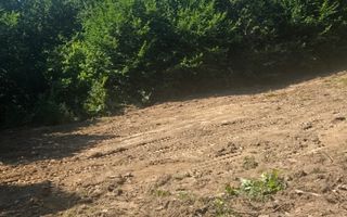 Teren Valea Doftanei,  zona Pe Vale - Baraj Paltinu - Poză 8