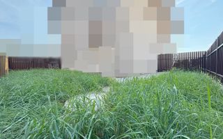 Apartament cu 2 camere/gradina 75 mp/zona Parc Poligon. - Poză 10