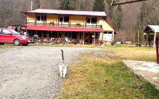 Vila de vanzare in Parcul national Piatra Craiului - Poză 1