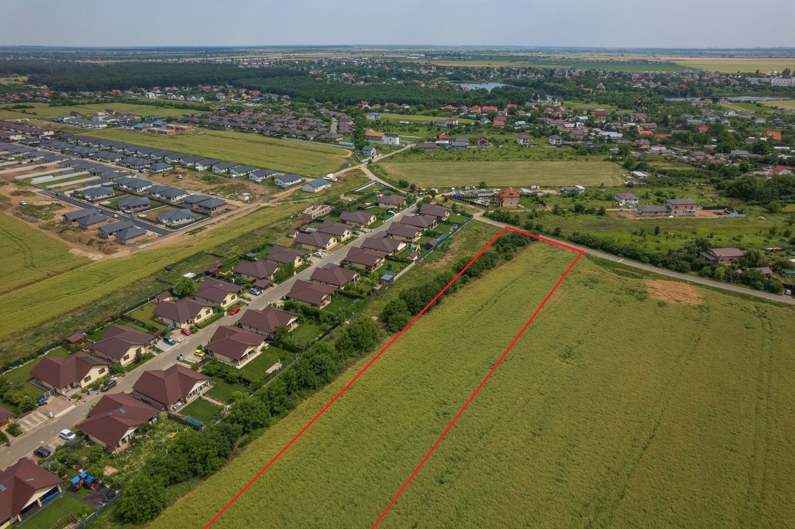 Teren intravilan, Balotești, Strada Cameliei 36, 10.000 mp - Poză 5