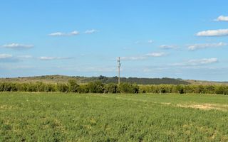 Sistematizare 6 parcele indviduale si 1 duplex, intravilan Jucu de Sus - Poză 4