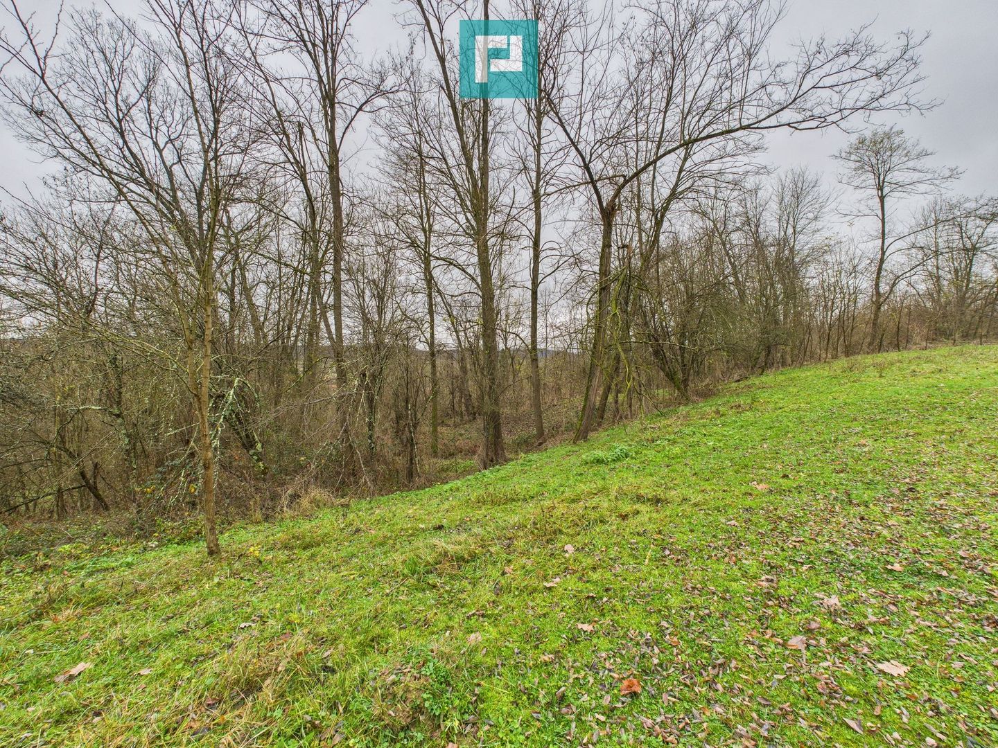 Casă cu teren de 24.679,73 mp, în Hălmagiu, Arad - Poză 26