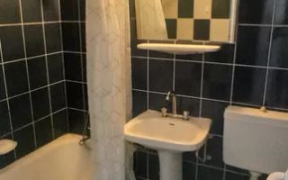 Apartament 1 camera Podu de Fier-  350 EURO - Poză 7