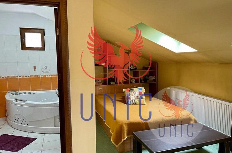 Super pret - Vila P+E+M, Lapus-Arges - Poză 13