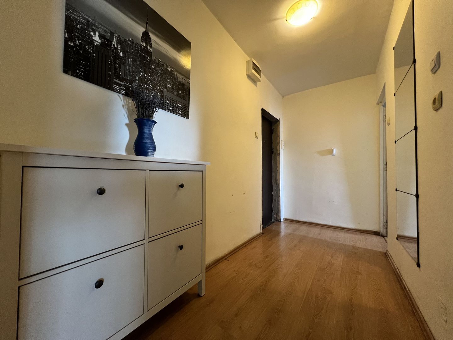 Garsoniera Aviatiei | Herastrau - Poză 4