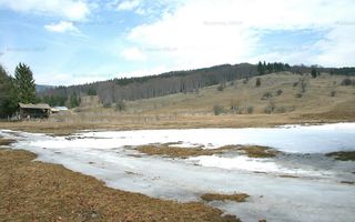 VALEA DOFTANEI - Traisteni, langa Conacul Dascalu, vanzare 2.537 mp. teren - Poză 13