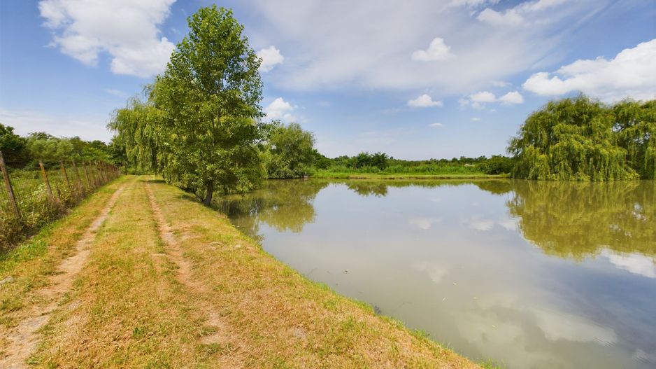 Moară istorică cu teren și luciu de apă în Aldești - Poză 1