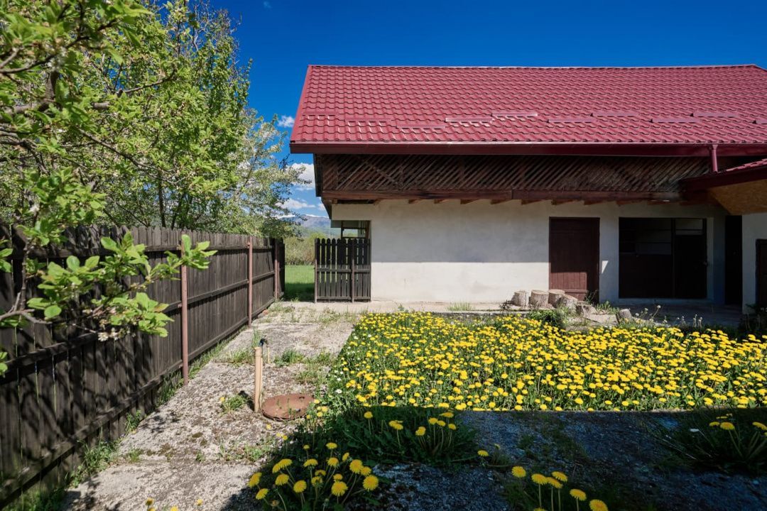 Casa Valea Mare Pravat (Campulung-Arges ) - farmec interbelic - Poză 15