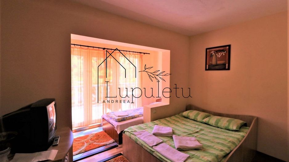 Pensiune de vânzare | 400 MPU | 10 Camere | Rasinari - Curmatura - Poză 12